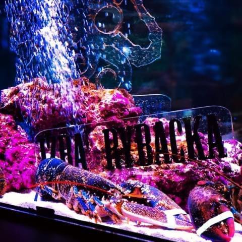 Restauracja I Noclegi Izba Rybacka W Krainie Wygaslych Wulkanow Podgorki ภายนอก รูปภาพ